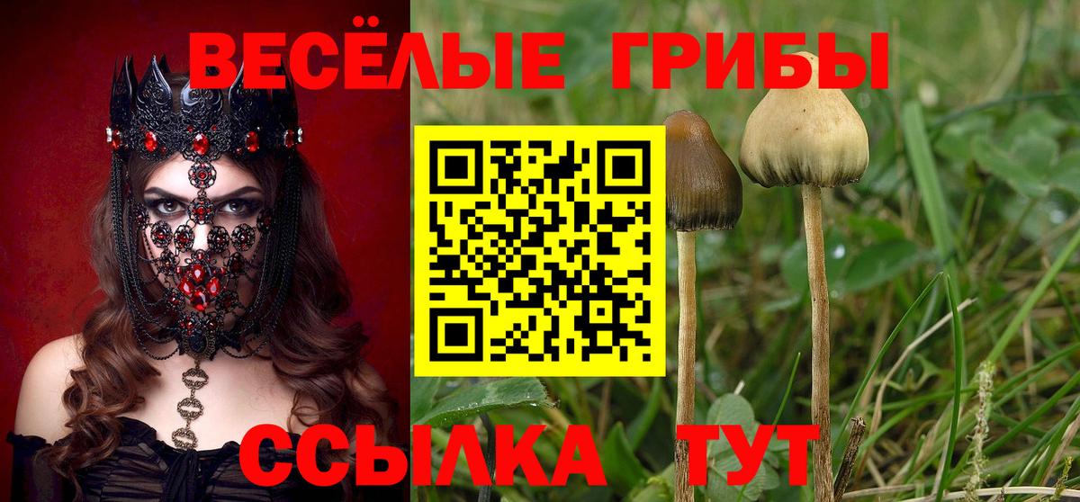 Арзамас  Галлюциногенные грибы GOLDEN TEACHER  Вход с VPN 