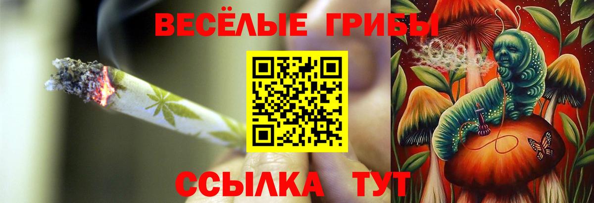 Галлюциногенные грибы Psilocybe Арзамас